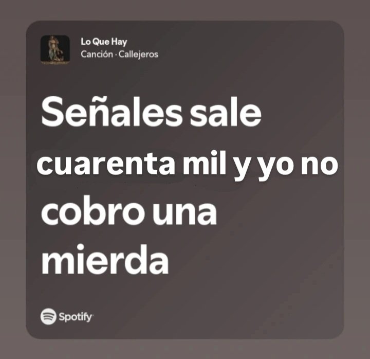 Rocío tweet media