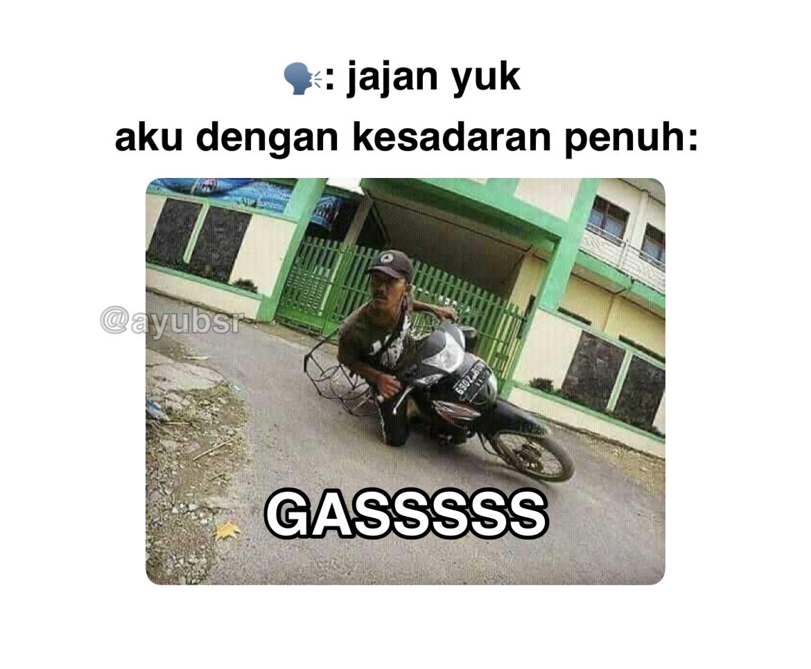Ayu tweet media
