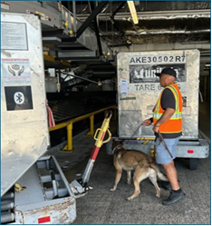 HSI サンタクルーズ 国土安全保障省 チャレンジ HSI Honolulu, in partnership with federal, state, and local