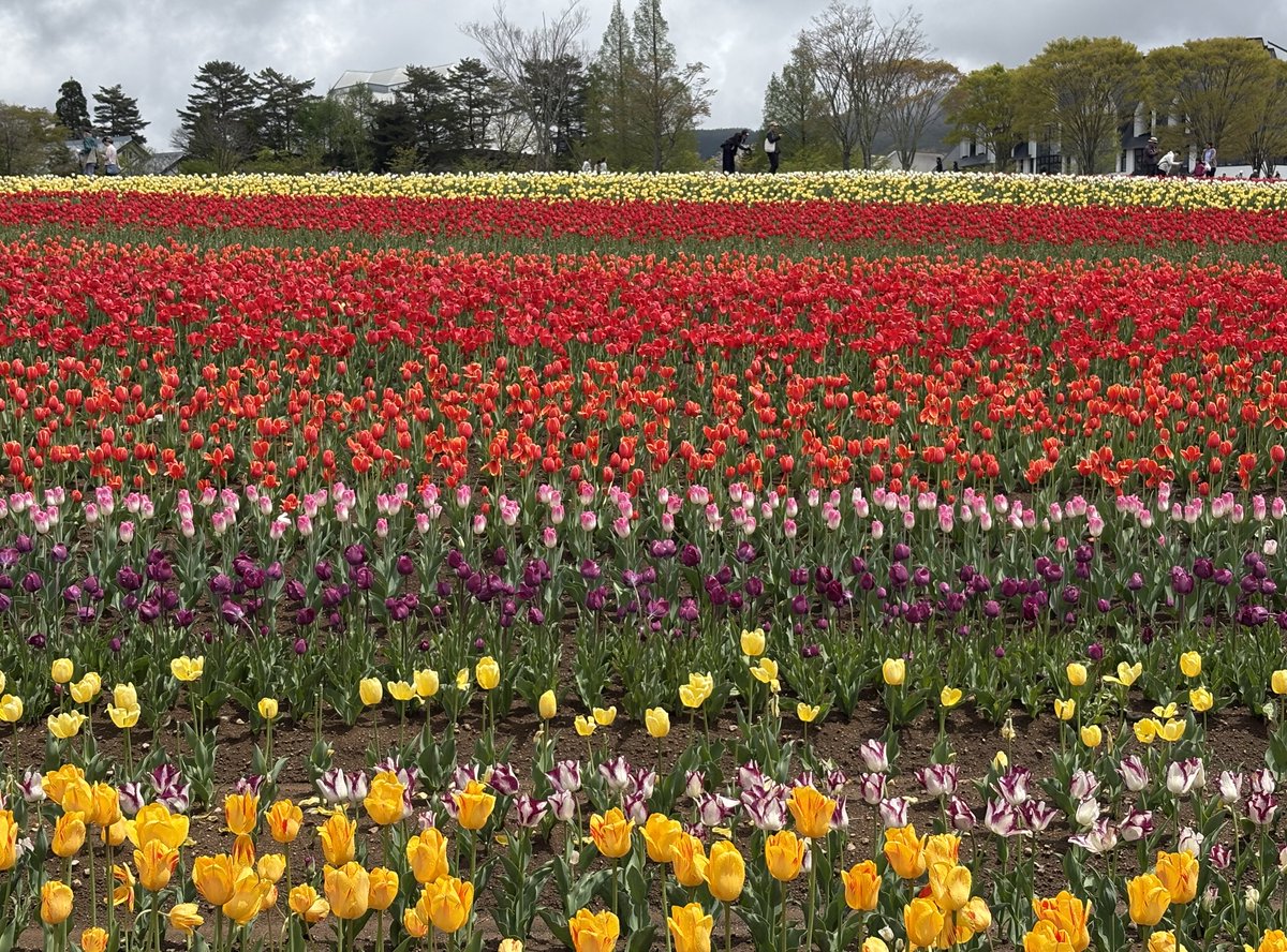 北条サアラ（Sala.H） tweet media
