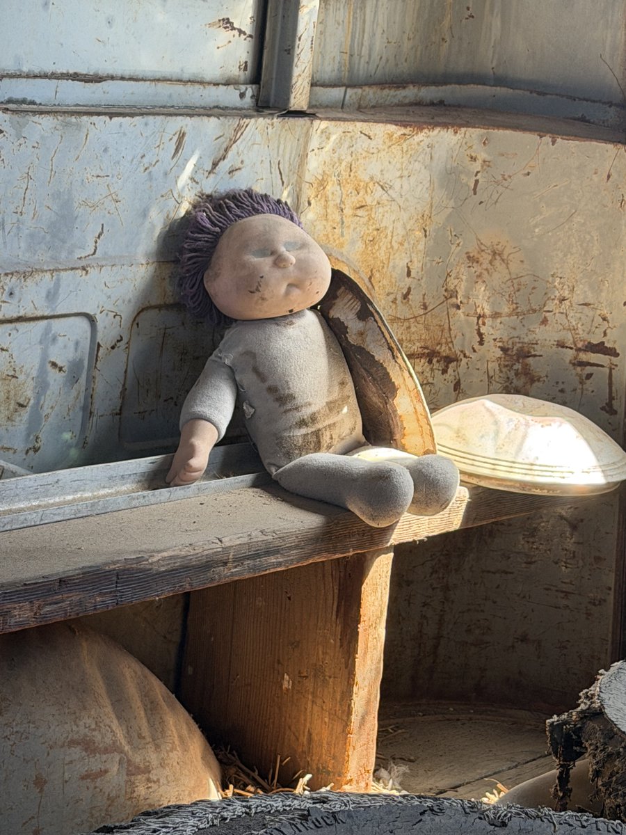 Picked up a new project this weekend and this little one in the back. Maybe erie or maybe it our mascot? It was loaded on and off a trailer and never moved. Namaste' nana Nana Nana Nana, Nana Nana, Nana Nana. Have a blessed day all..