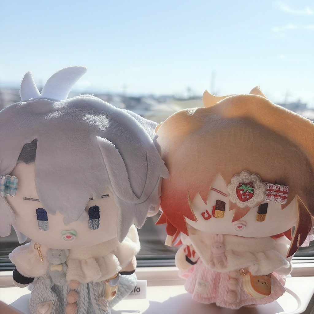 ﾎﾟﾖ。🧸原稿 tweet media