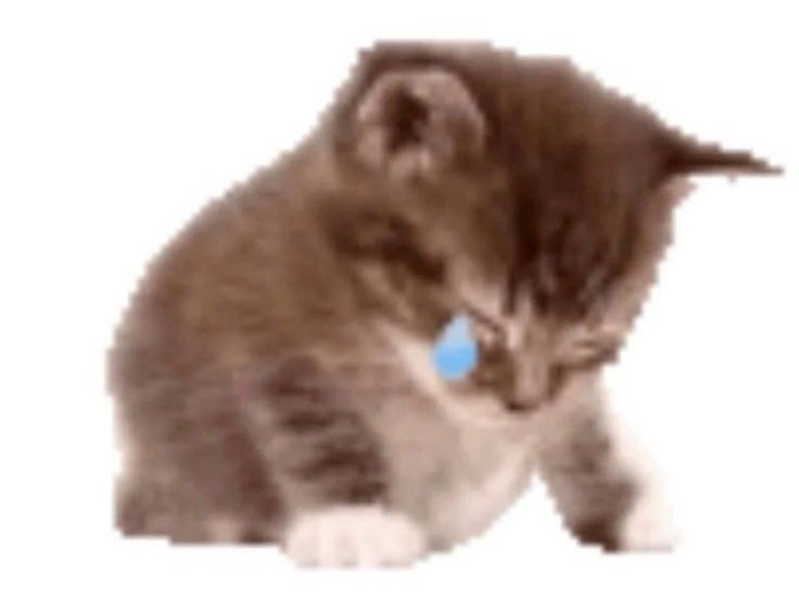 lix ꣑ৎ tweet media