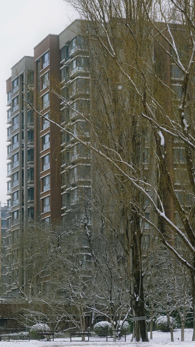 COSYCOSY258's tweet image. 關於人定湖（十二）

About “Rending Lake” 12

#beijing #life #photography #travel #art