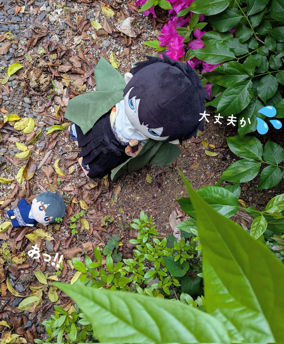 はる🌿 tweet media