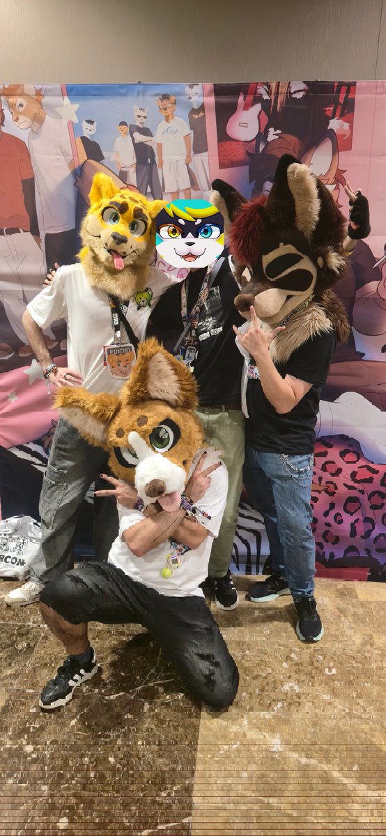 Cattuwo 🐱✨🍈 tweet media