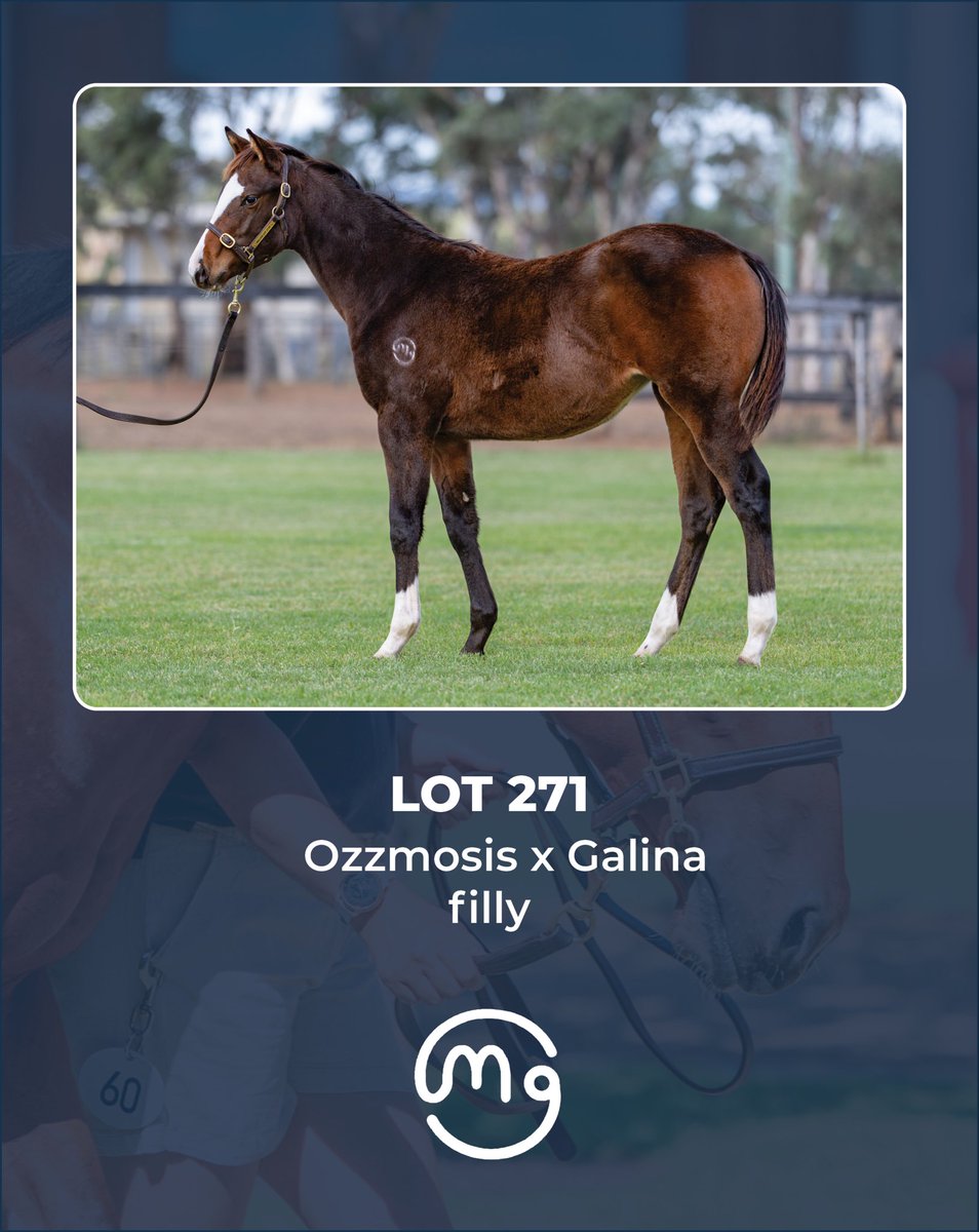 Mullaglass Stud tweet media