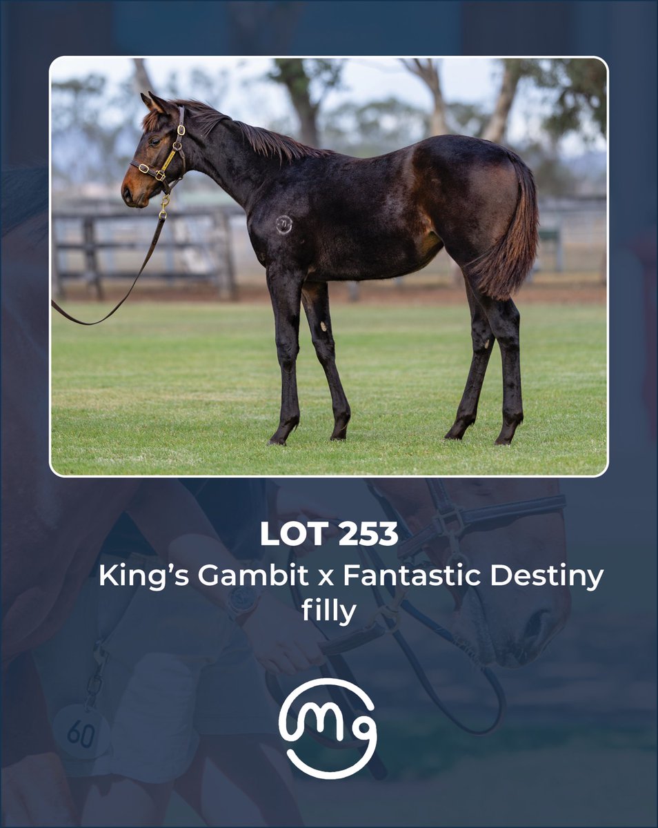 Mullaglass Stud tweet media