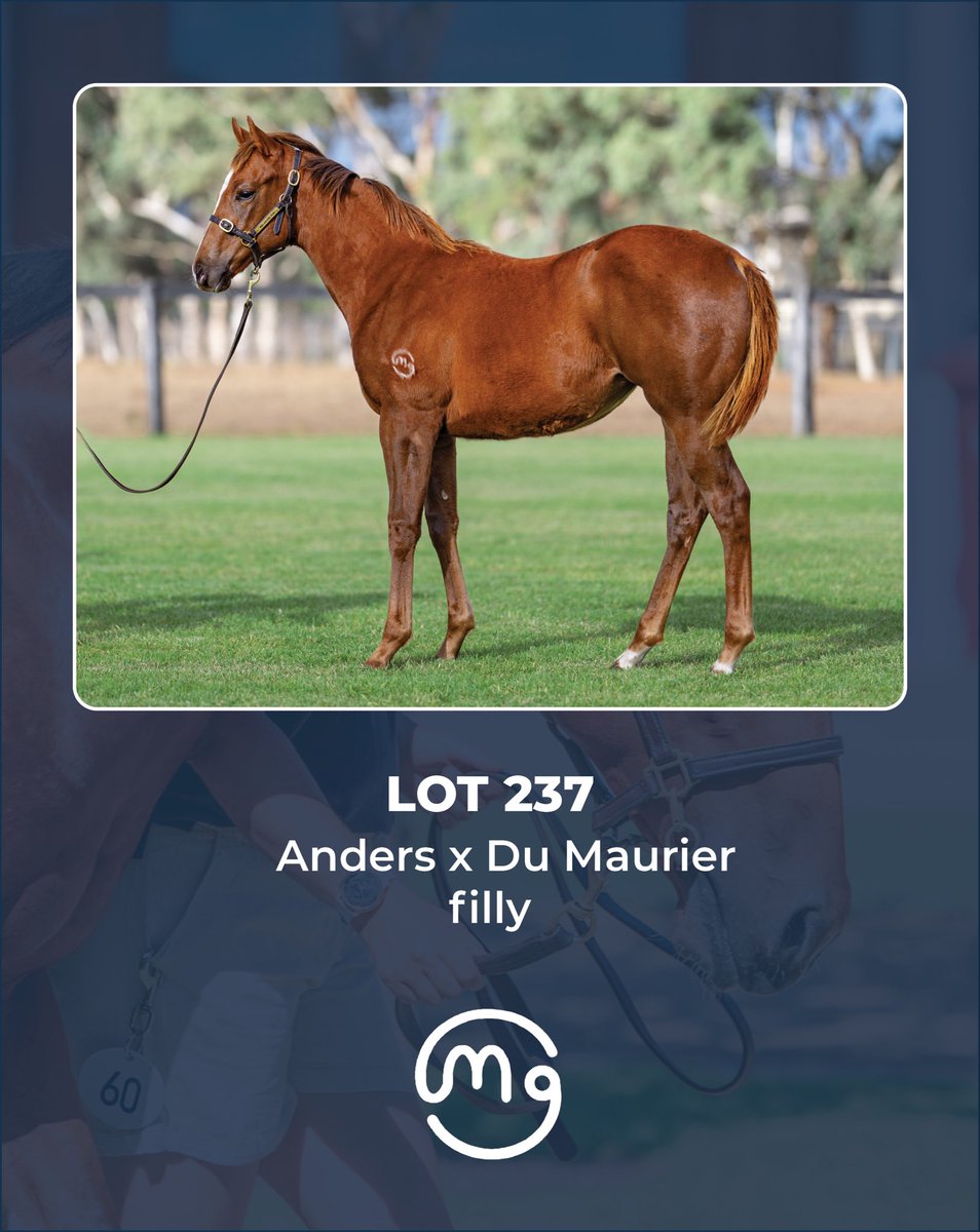 Mullaglass Stud tweet media