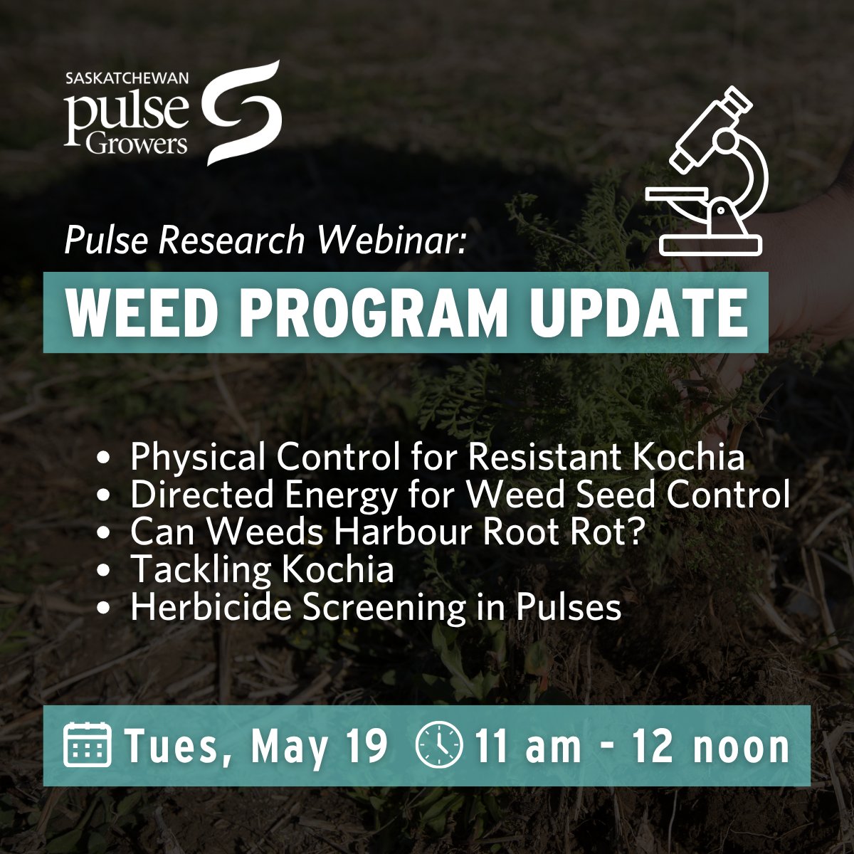 Saskatchewan Pulse Growers tweet media