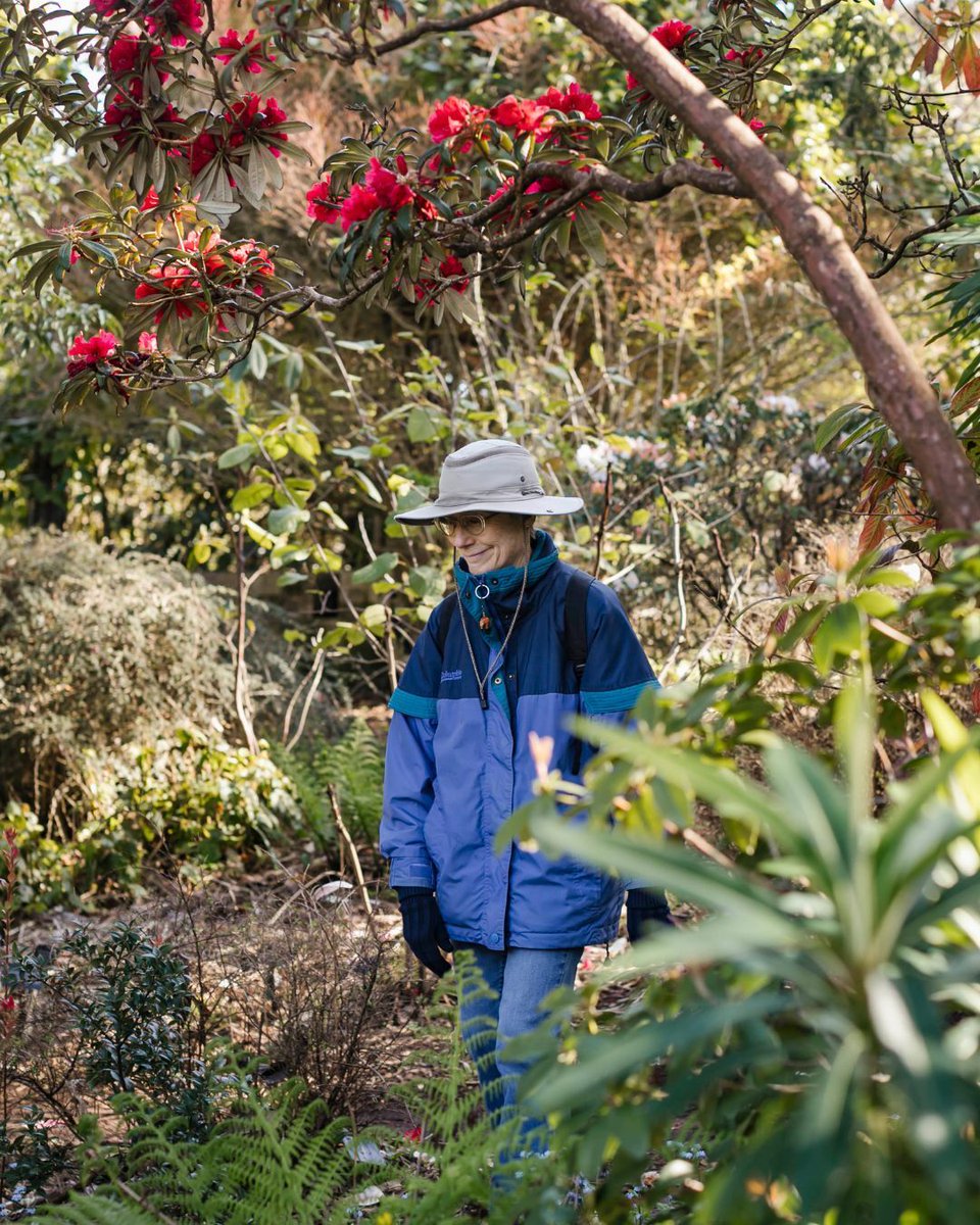 Gardens of Golden Gate Park tweet media