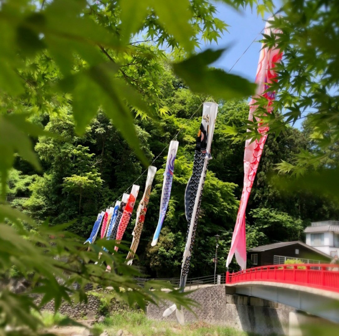 悦子(Etsuko) tweet media
