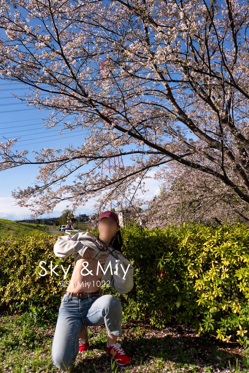 Sky&Miy tweet media