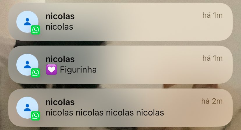 julia tweet media