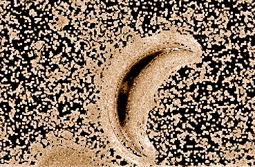 CHROMOGRAPHY tweet media