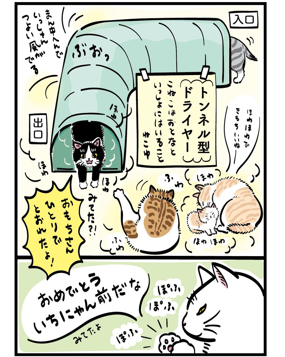 元祖ふとねこ堂 tweet media