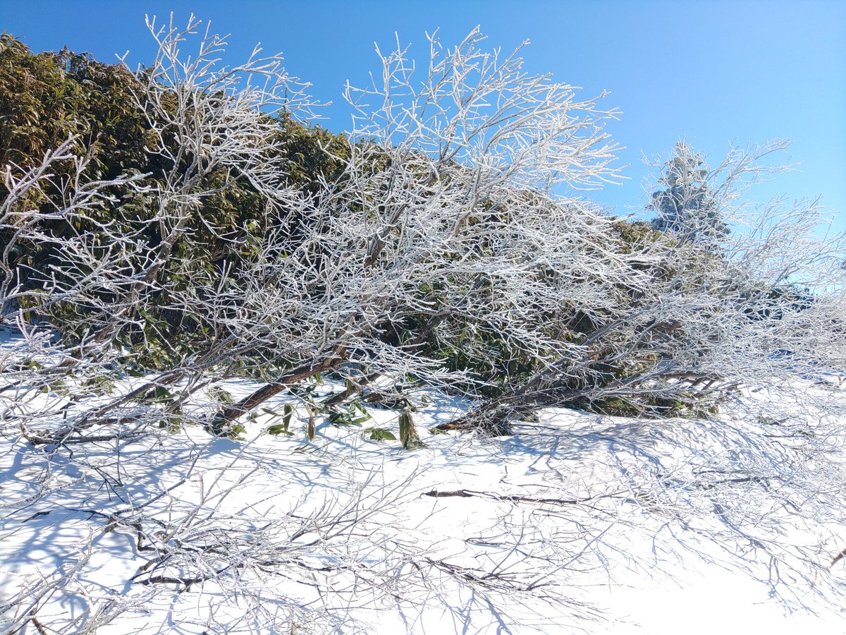 5656nohide's tweet photo. 渋峠、クソ寒いですw
道中うっすら積雪部分と凍ってる部分あり。 https://t.co/oYpKkhsoct