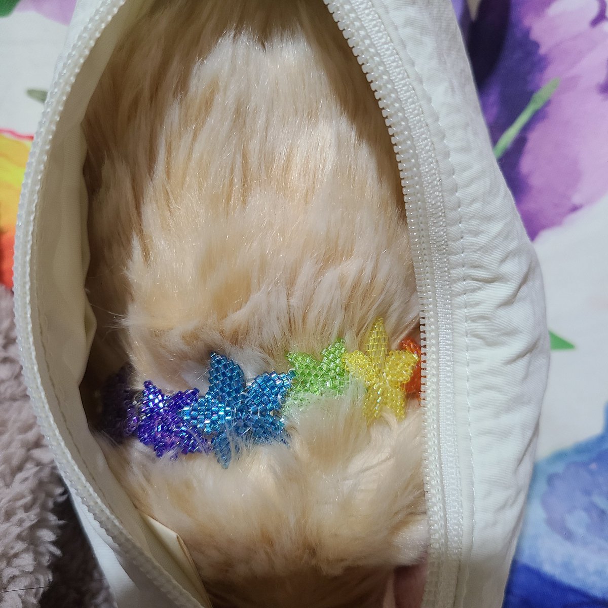 今日もうららがかわいい tweet media