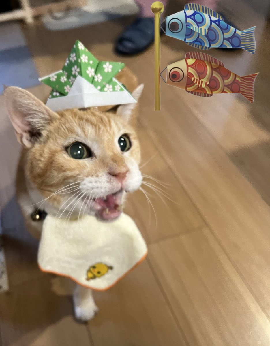 むーちゃん様 ありがとうございます✨ I was so happy just a moment ago My beloved cat, who was in a