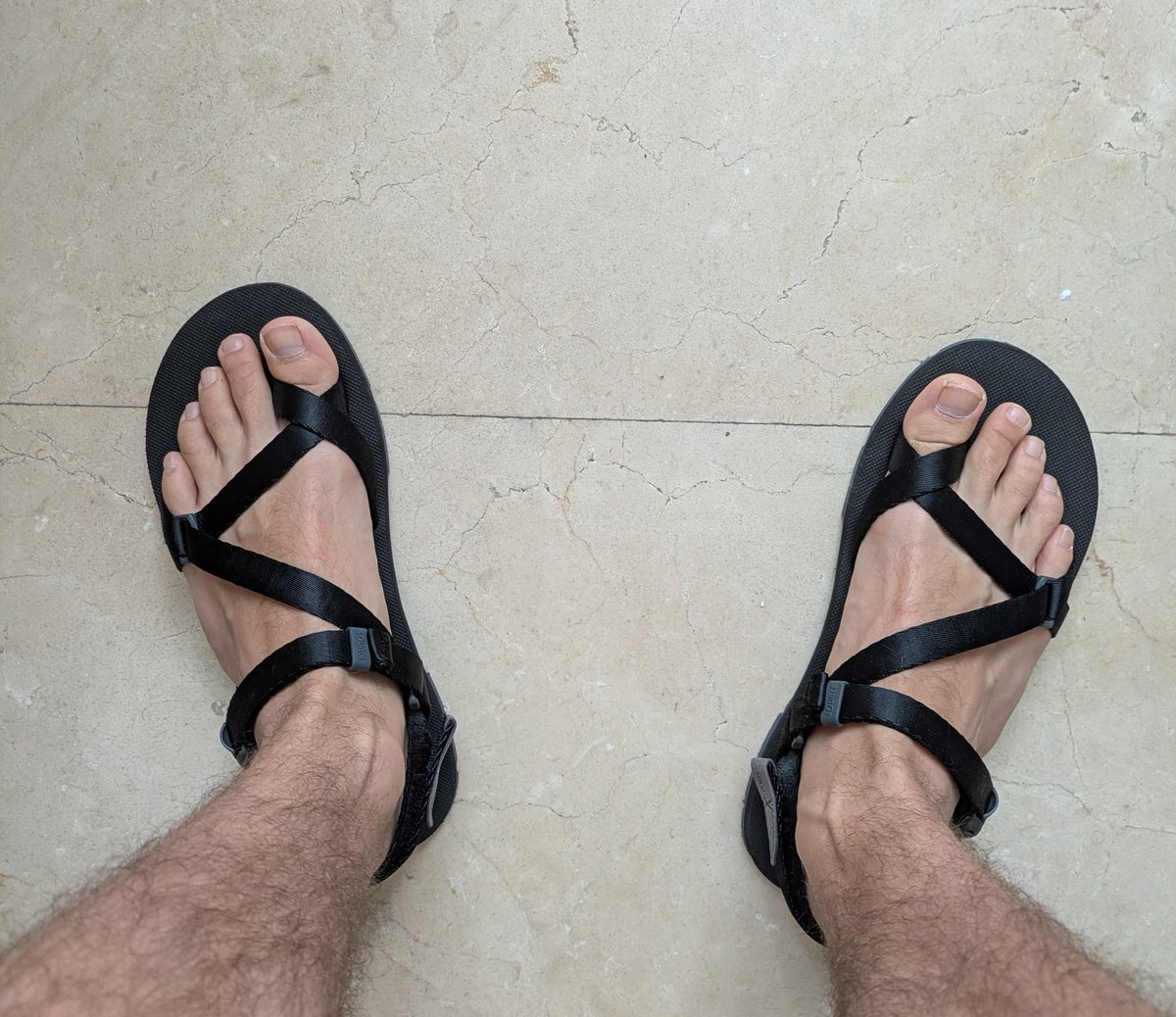 DFeet tweet media