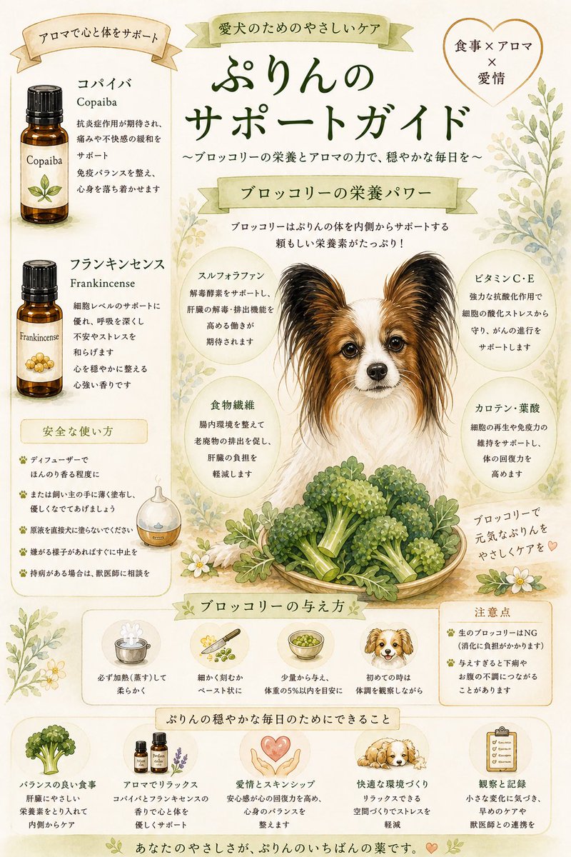 oldwitch7's tweet photo. 肝臓癌と闘っている
愛犬ぷりん13歳のサポートケア https://t.co/IN7YkGz6RZ