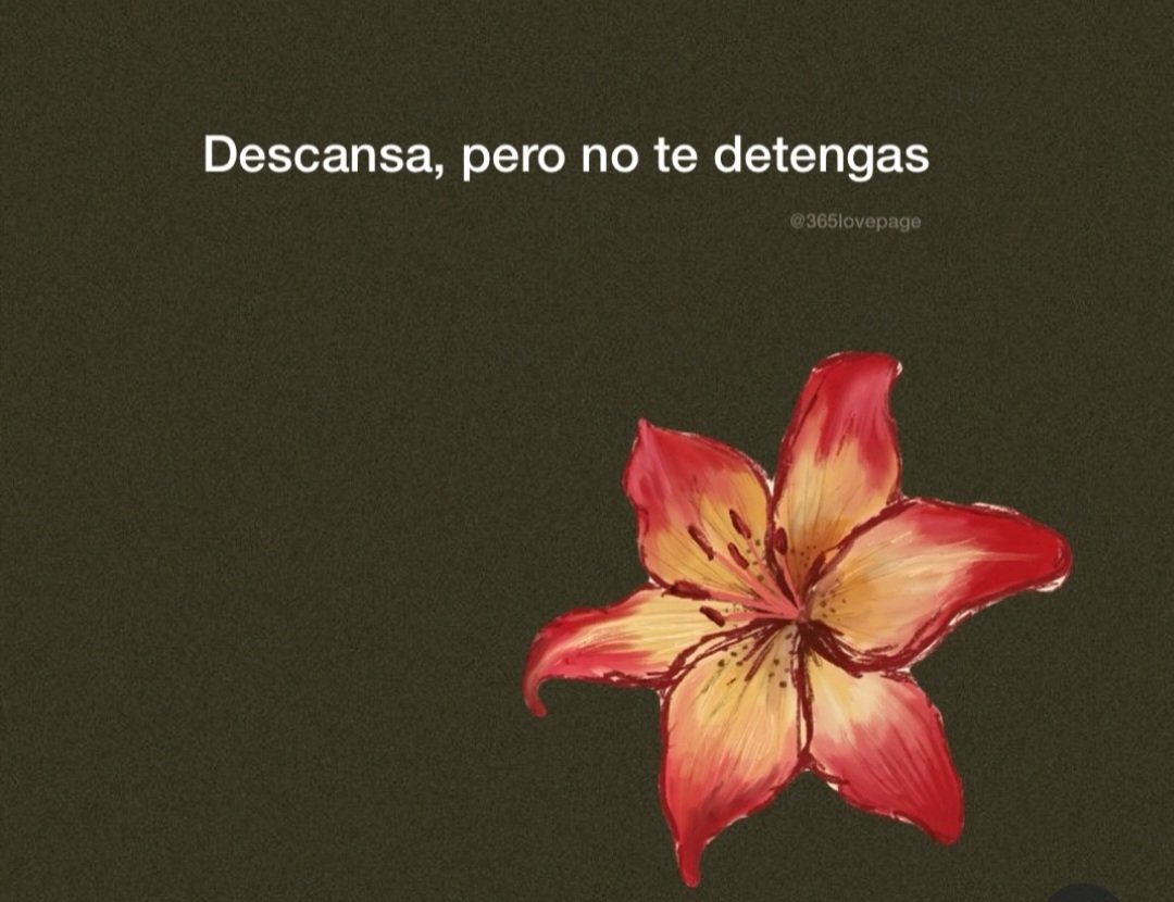 Ágata 🦋🪼 tweet media
