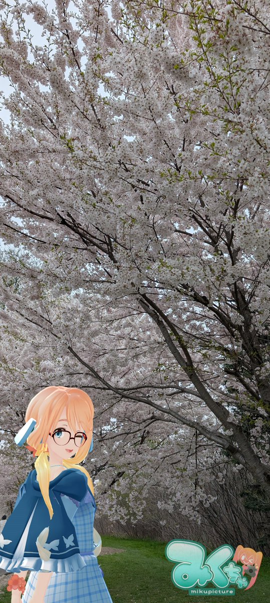 jcpb | MIKUEXPO2026 ハミルトン／Hamilton, ON 05/13/2026 tweet media