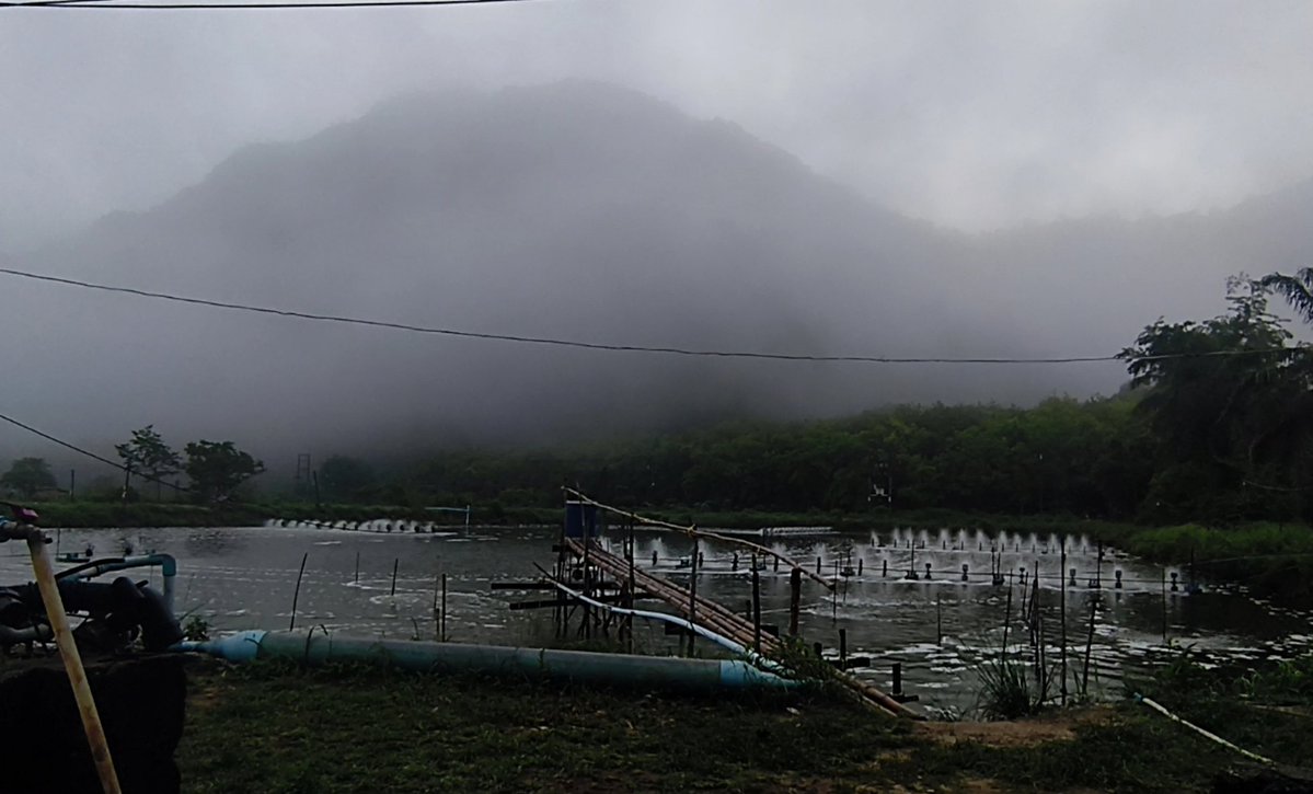 วัยทำงาน tweet media