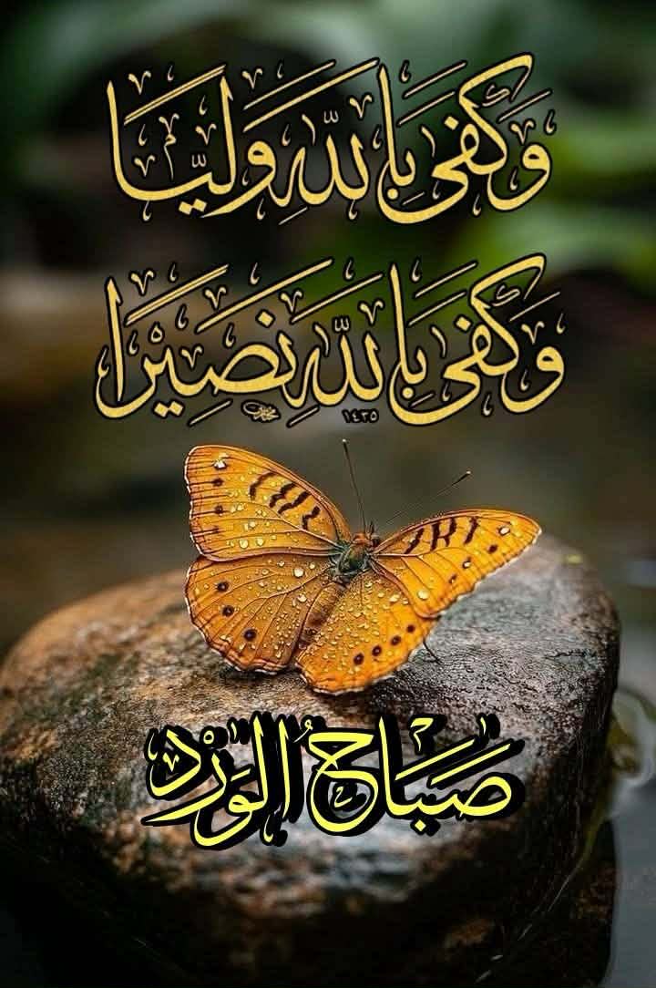 حسين ابو جعفر الدريساوي tweet media