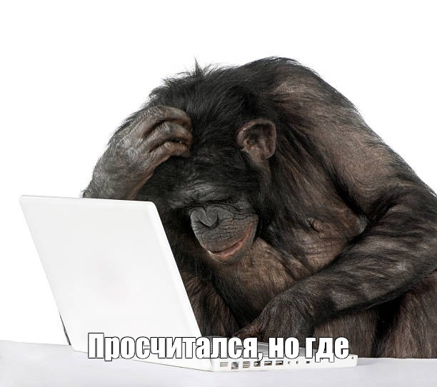 ᛏ víkingr : bóbr tweet media