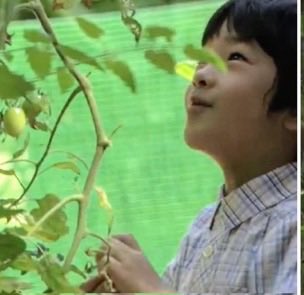 #もうこうなったらTLを悠仁親王殿下の画像でいっぱいにするしかない