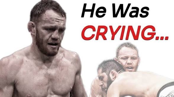 Nofanboymma tweet media