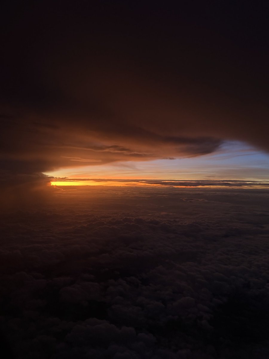 Volviendo a ver los atardeceres.
