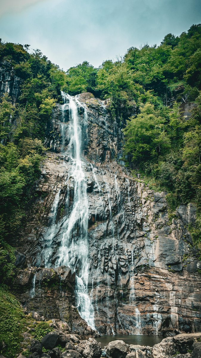 motoy sanctuary tweet media