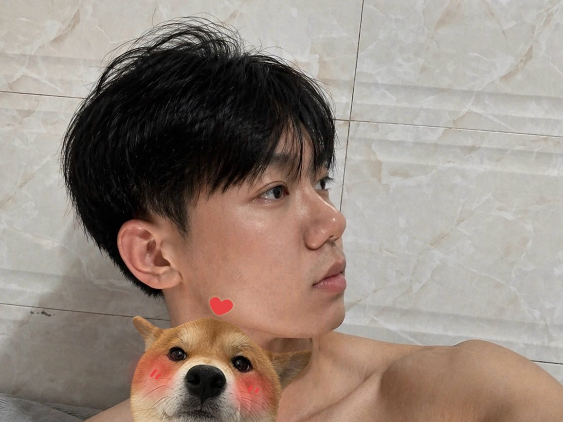 爱开飞机的舒克 tweet media