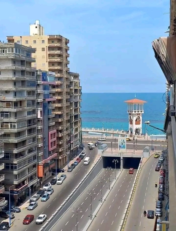 ميدو&بوسى 🌹 كبلز راقى 🌹مطلوب كابل أو ليزبيان tweet media