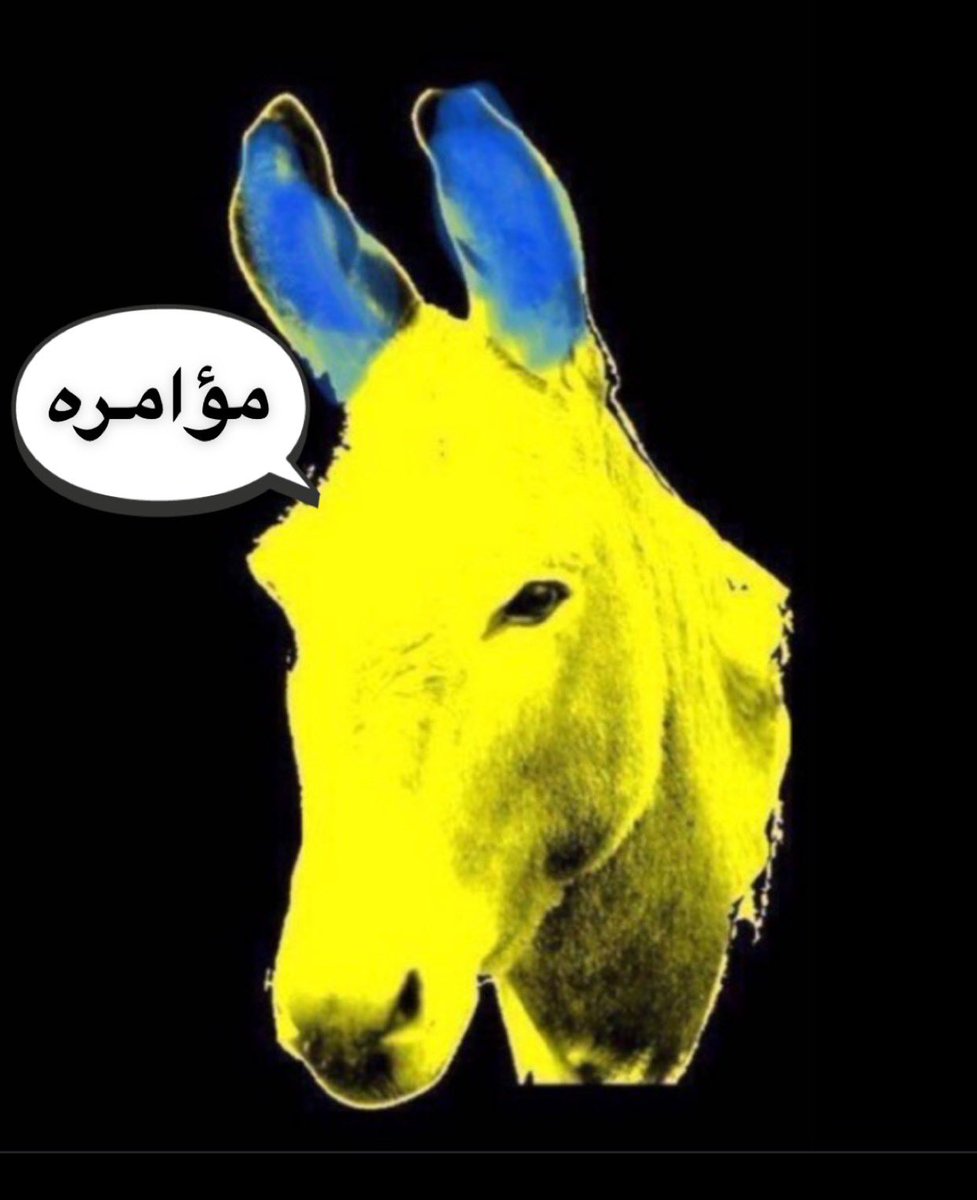 بودالهلالي 🦈BOD🦈 tweet media