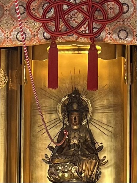 mt_1957's tweet photo. 札所十四番　今宮坊　
12年に一度の午年総開帳
秘仏が公開されてる
観音様と御手綱で手を繋ぐことができる#秩父札所巡り#午年総開帳 https://t.co/7mmSb6OGCT
