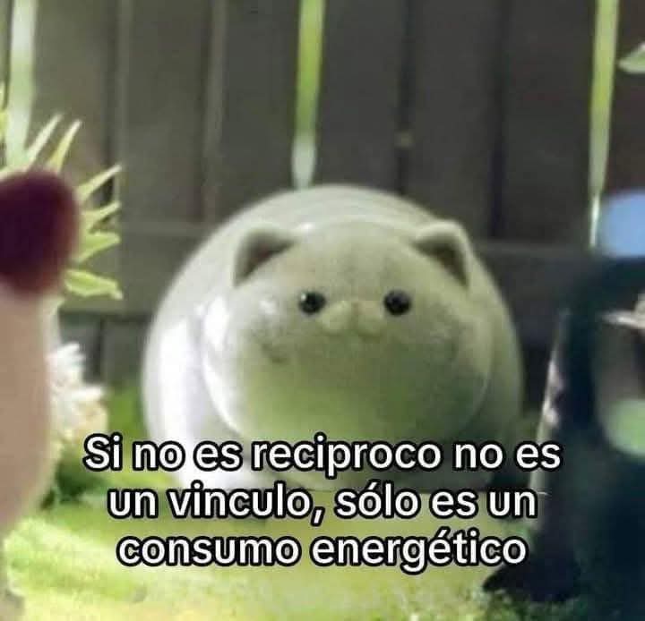 En Júpiter tweet media