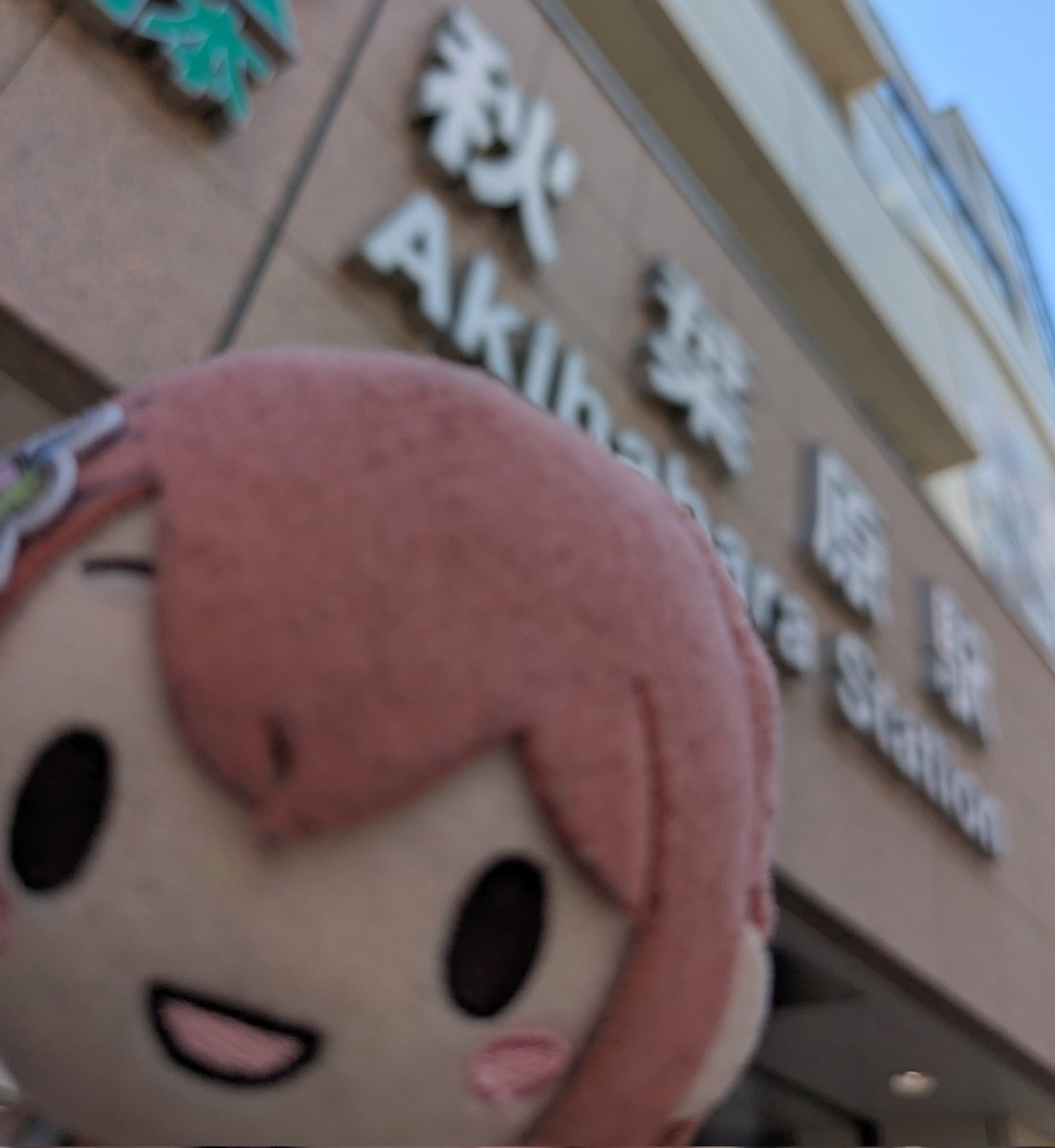 夕星(ゆうずつ) tweet media