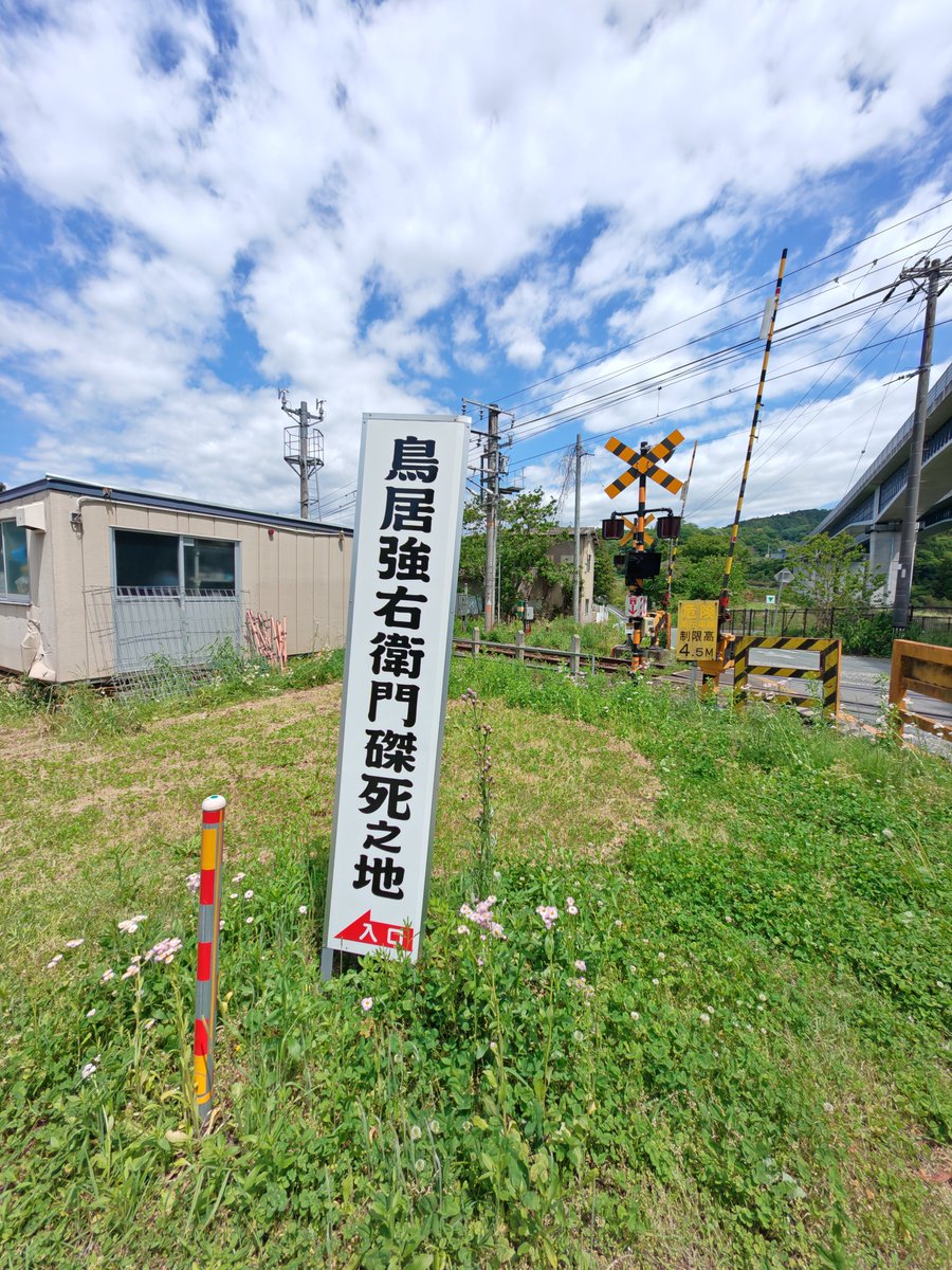 桜皇帝 tweet media