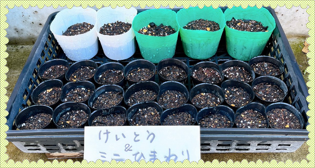 ユミ tweet media