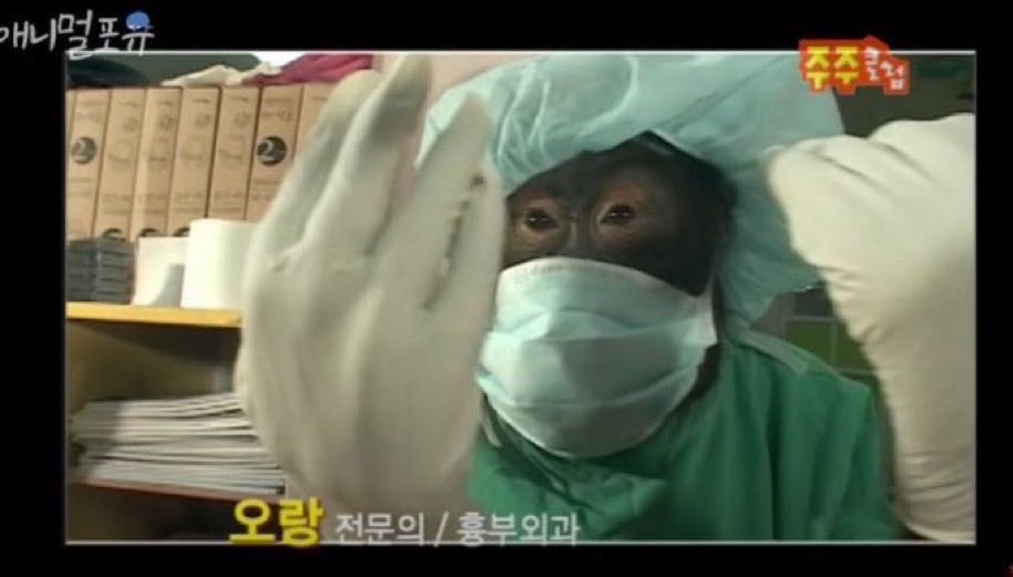 아쿠마동 tweet media