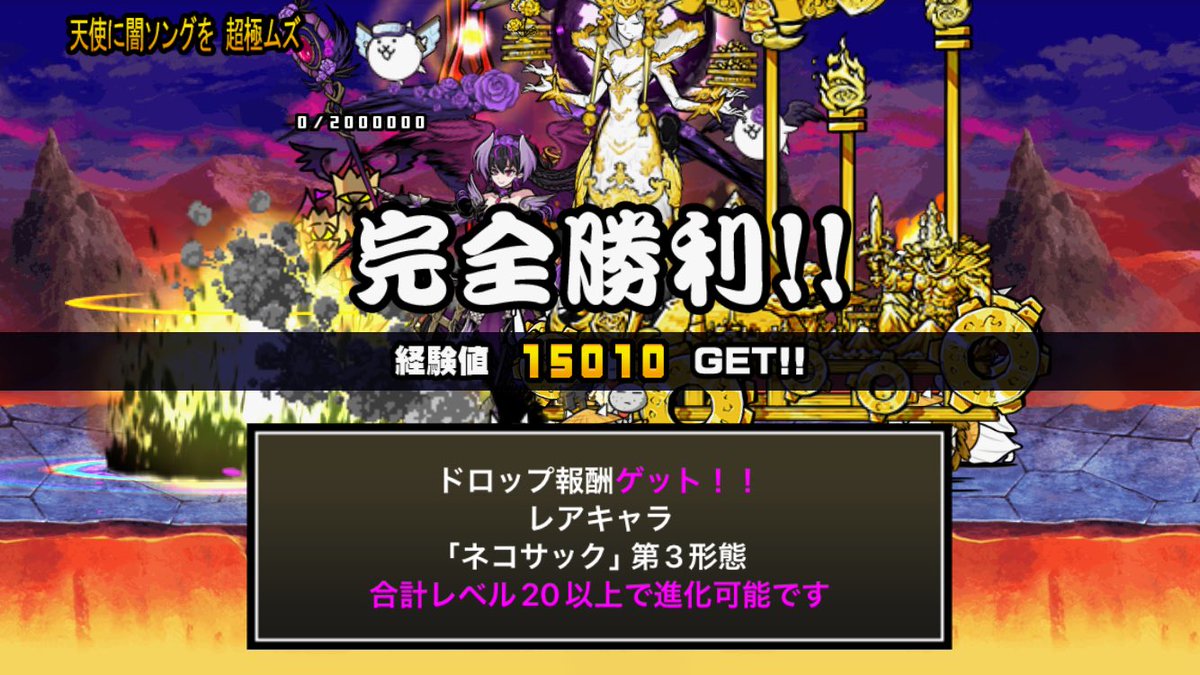 ネコボール tweet media