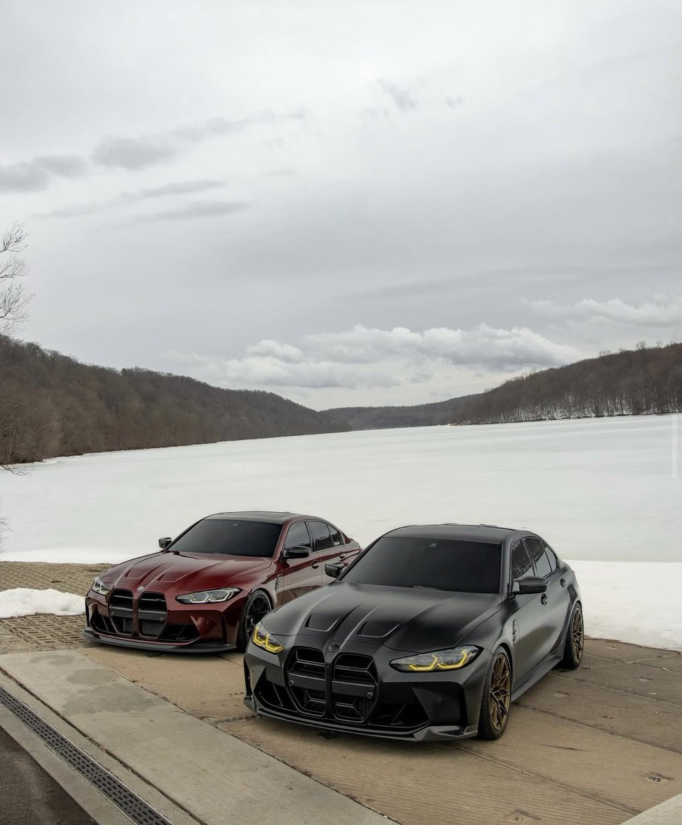 BMWM Fans tweet media