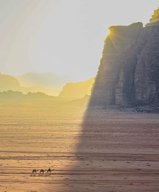 axisdmc's tweet photo. Some mornings in Wadi Rum feel like the whole world belongs to you.
π https://t.co/ETsectQqzr
#WadiRum #JordanTravel #VisitJordan #DesertLife #CamelTrek #JordanDesert #ValleyOfTheMoon #JordanTourism #AxisDMC #DMCJordan #LuxuryTravel #BucketList #DesertSunrise #MiddleEastTravel https://t.co/Z95oDn7t6Y