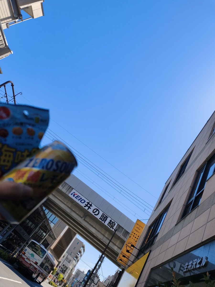 ベニ tweet media