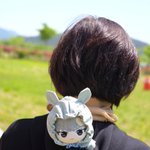 Photo by ILRYY (@_ILRYY_)