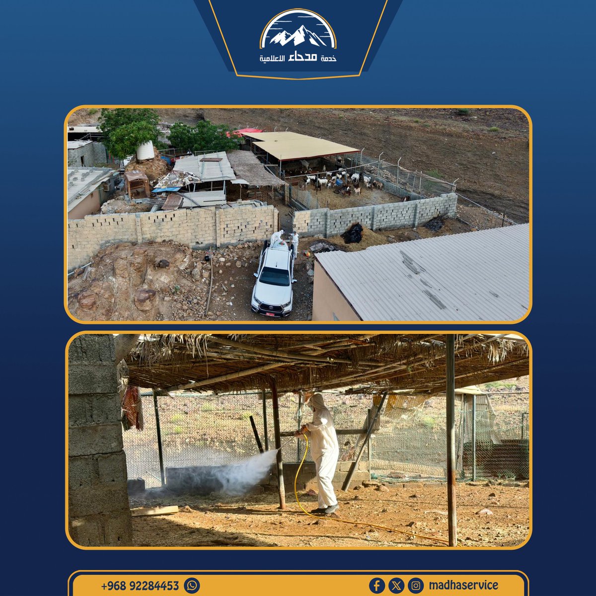 madhaservice's tweet photo. دائرة الثروة الزراعية والسمكية وموارد المياه بولاية #مدحاء تنفذ حملة لرش ومكافحة الطفيليات الخارجية 
.
.
#مسندم https://t.co/3T1Aqnj5ls