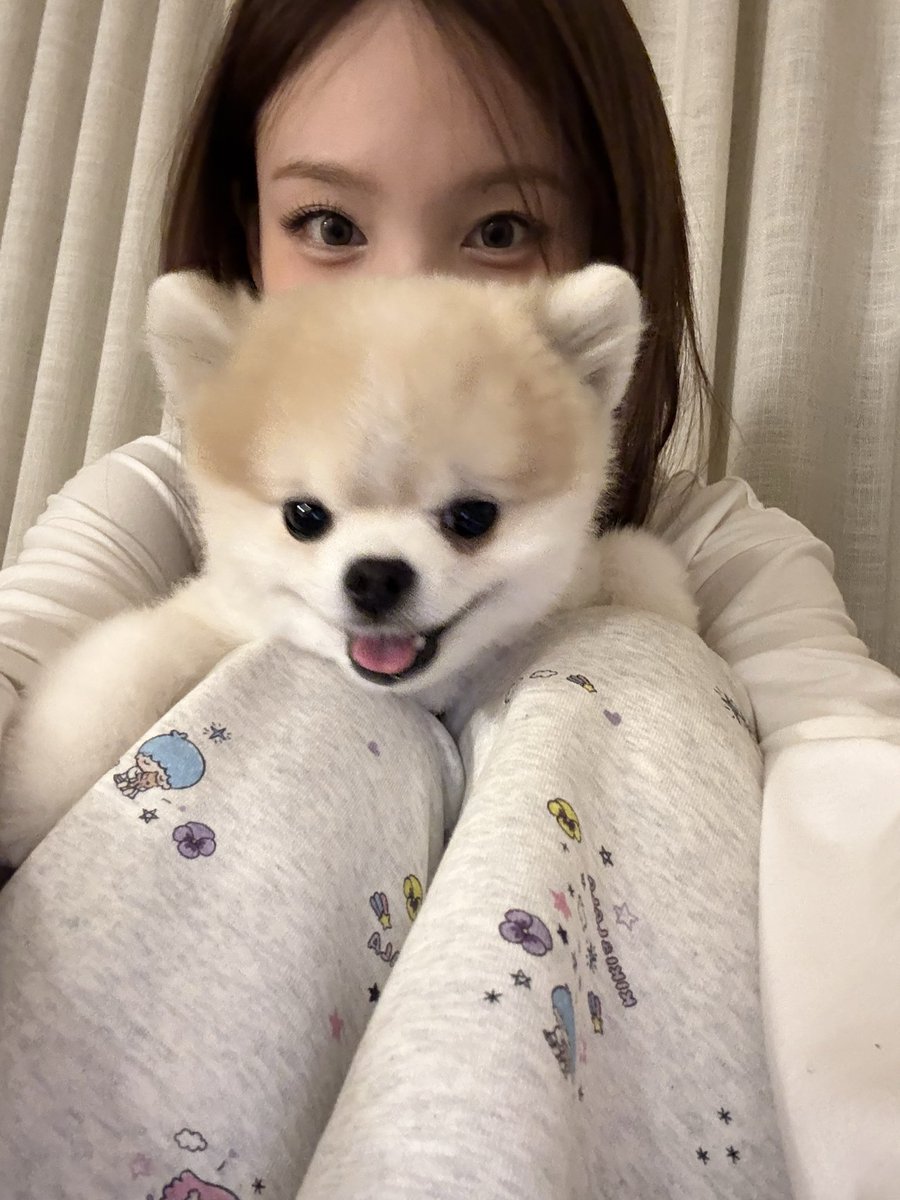 쿠크다스 tweet media